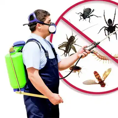 pest control Six Mile Run